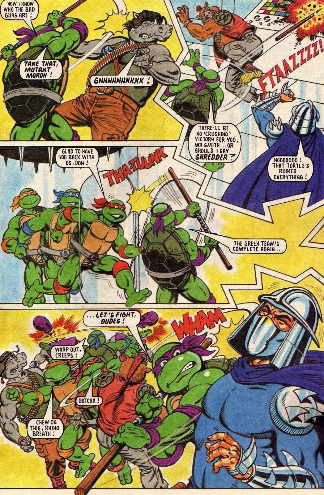 Teenage Mutant Hero Turtles Adventures issue 25 - Page 13