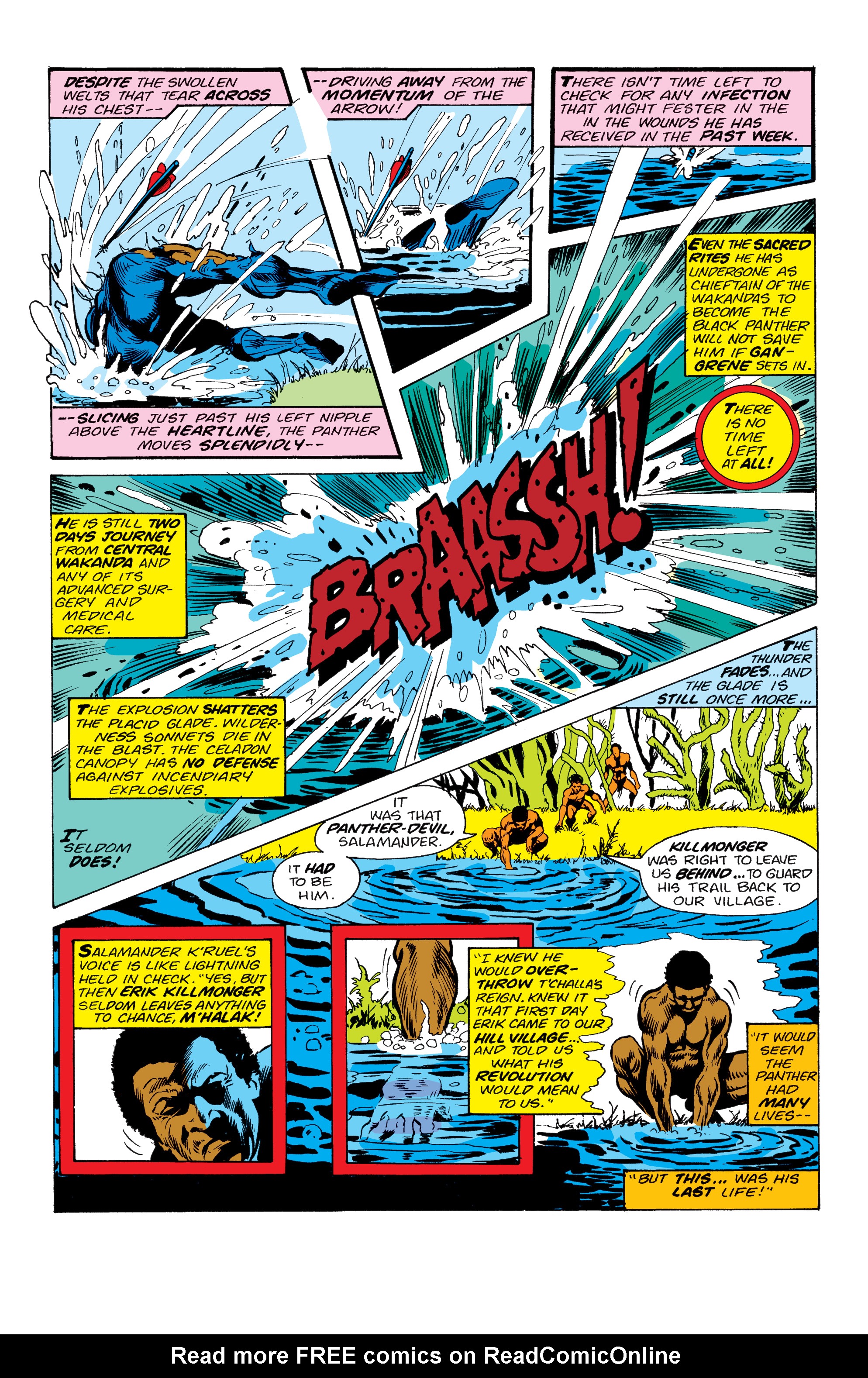 Read online Black Panther: The Early Years Omnibus comic -  Issue # TPB (Part 7) - 29