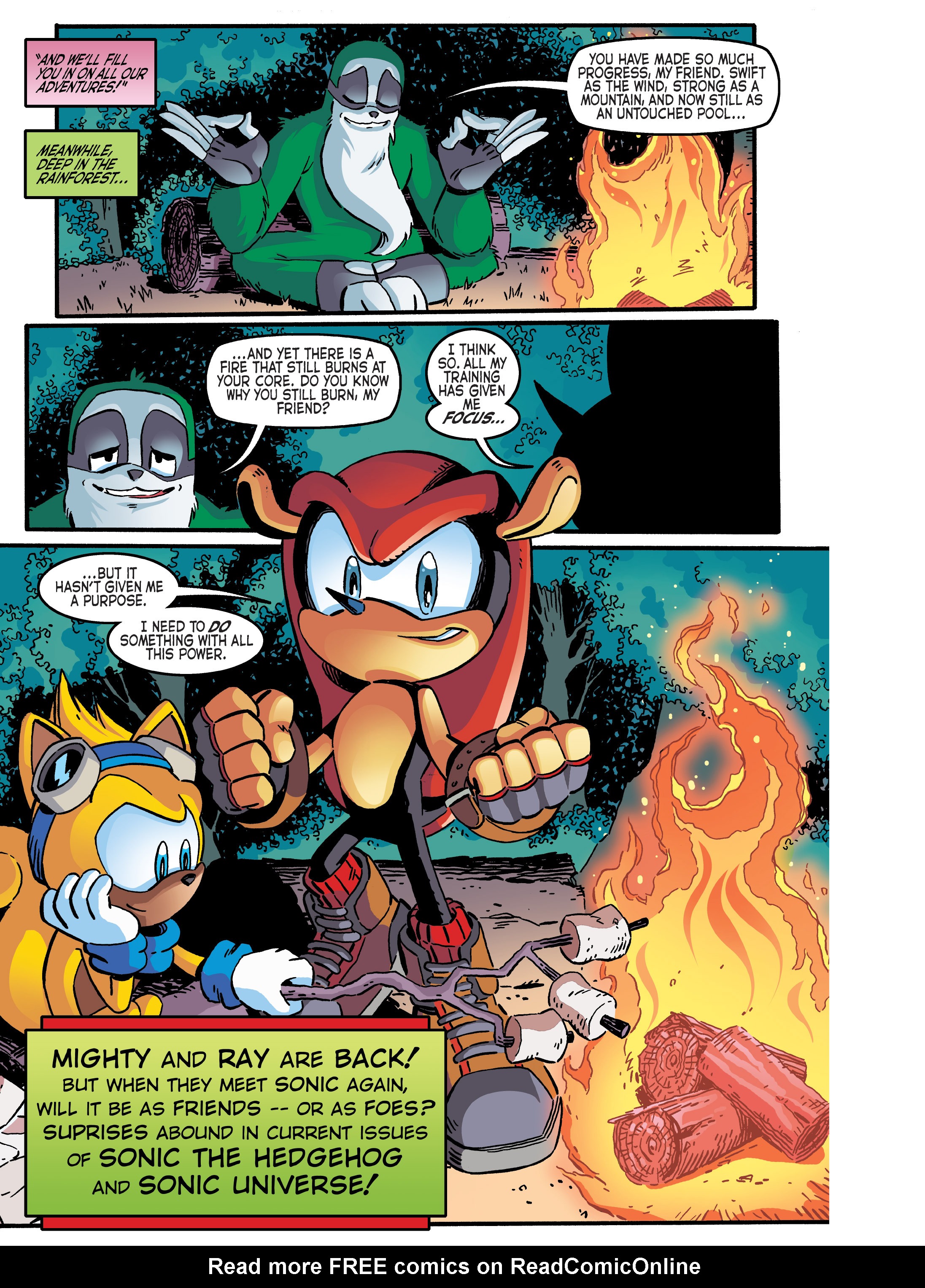 Read online Sonic Super Digest comic -  Issue #11 - 81