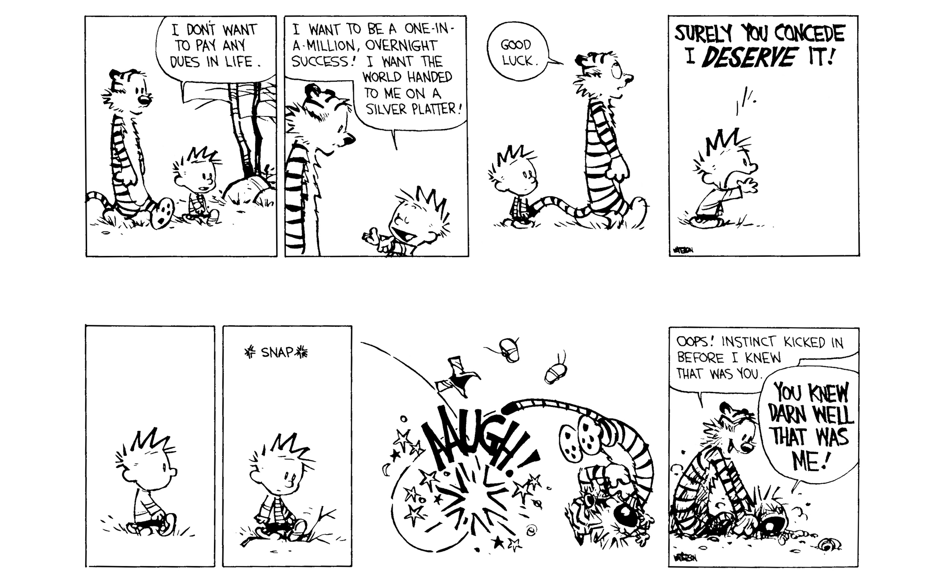 Read online Calvin and Hobbes comic -  Issue #8 - 39