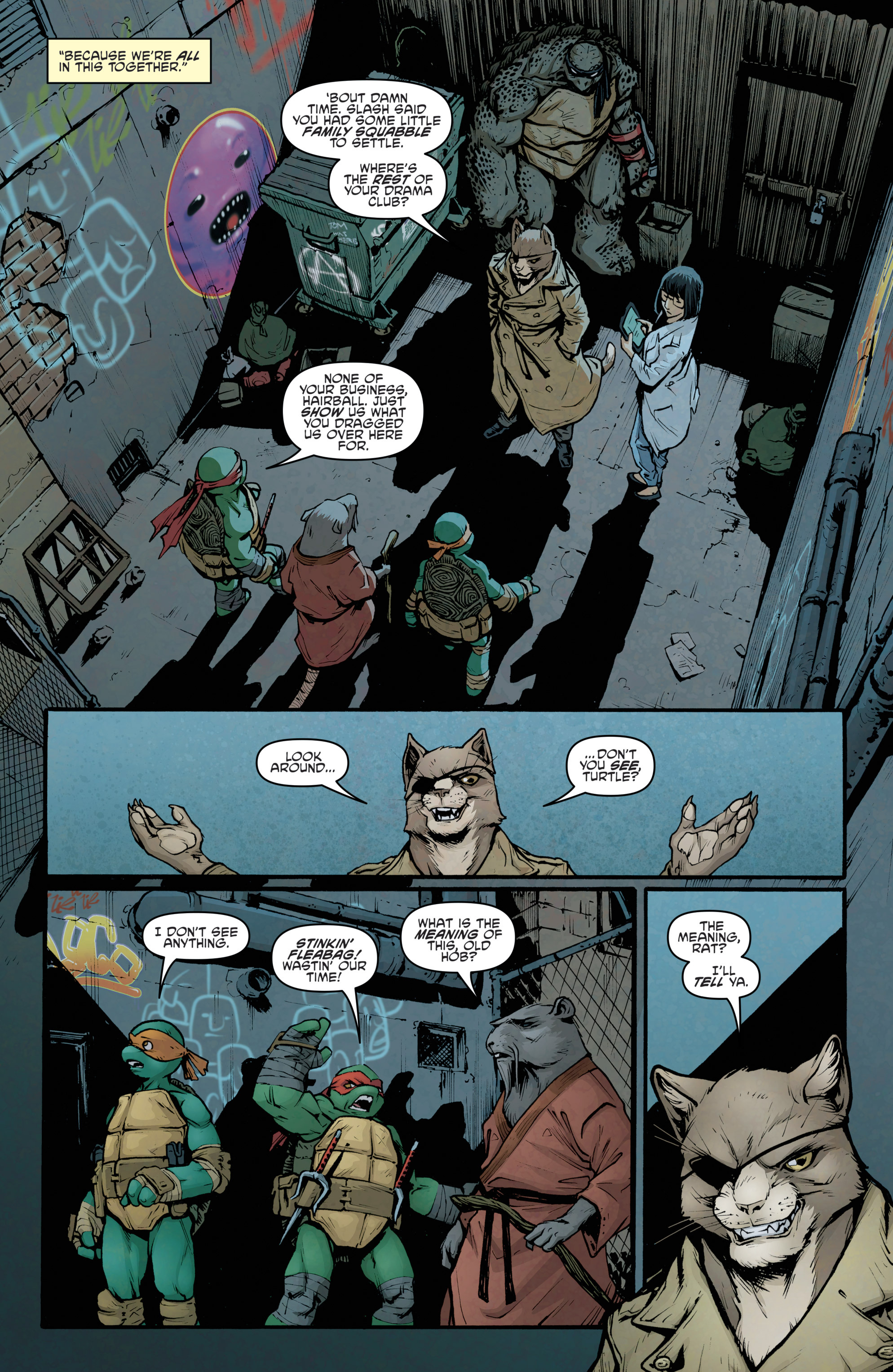 Read online Teenage Mutant Ninja Turtles: The IDW Collection comic -  Issue # TPB 5 (Part 2) - 16