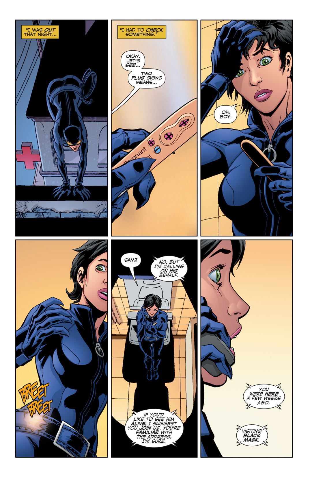 Read online Catwoman (2002) comic -  Issue #62 - 17