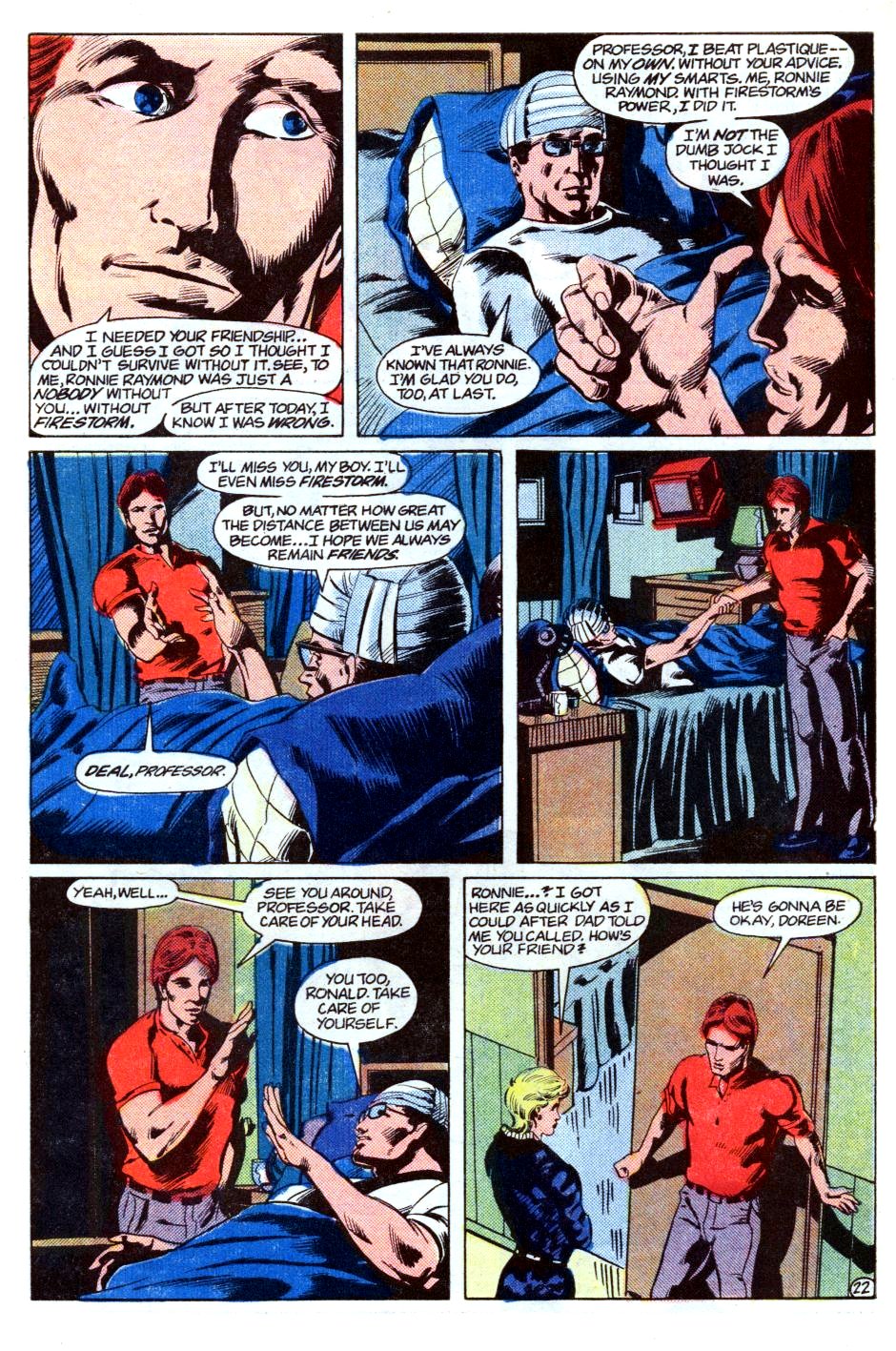 The Fury of Firestorm Issue #36 #40 - English 23