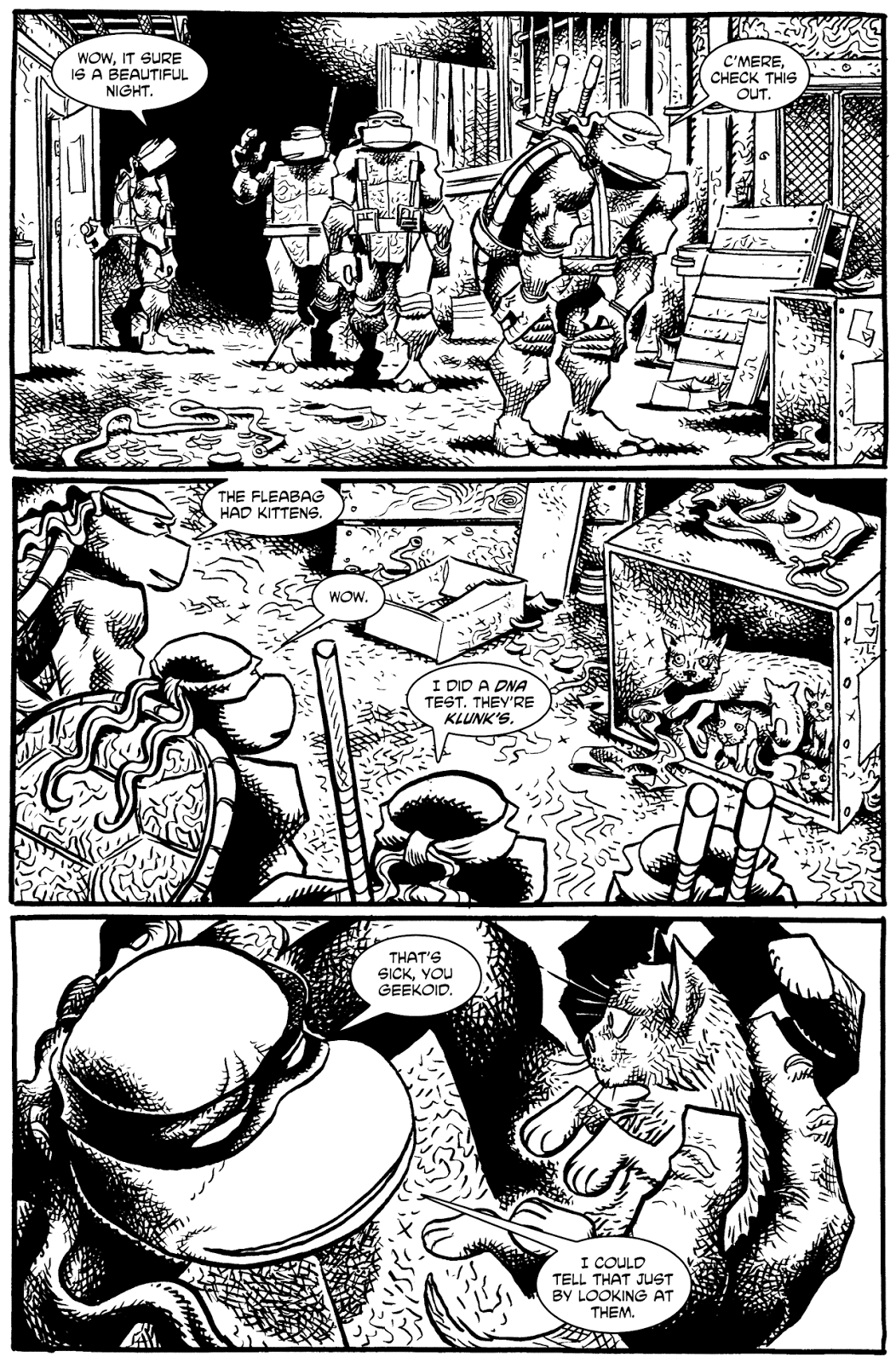 Tales of the TMNT issue 9 - Page 35