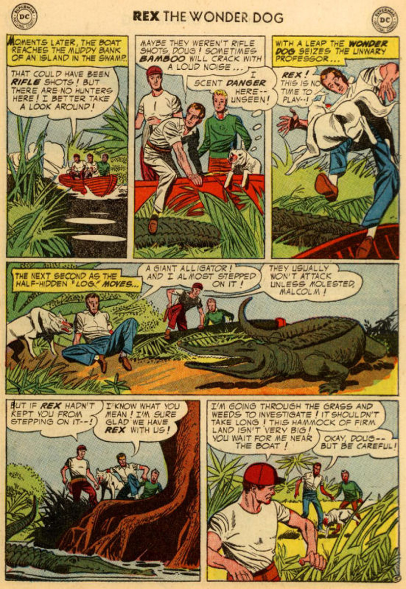 Read online The Adventures of Rex the Wonder Dog comic -  Issue #18 - 29