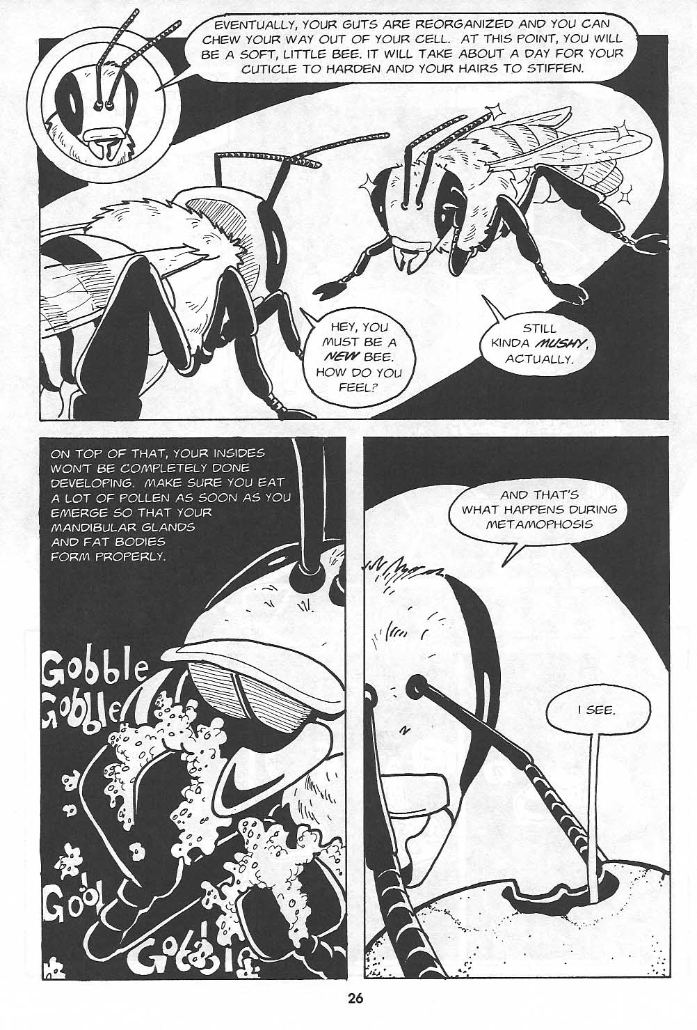 Read online Clan Apis comic -  Issue # TPB (Part 1) - 27