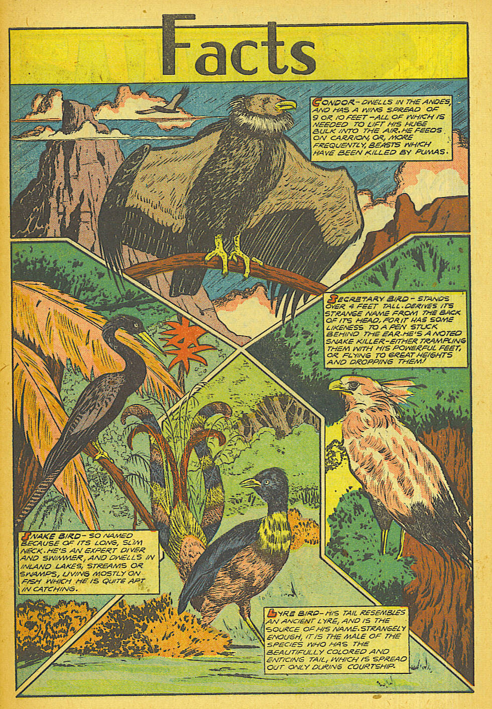 Read online Jungle Comics comic -  Issue #110 - 43