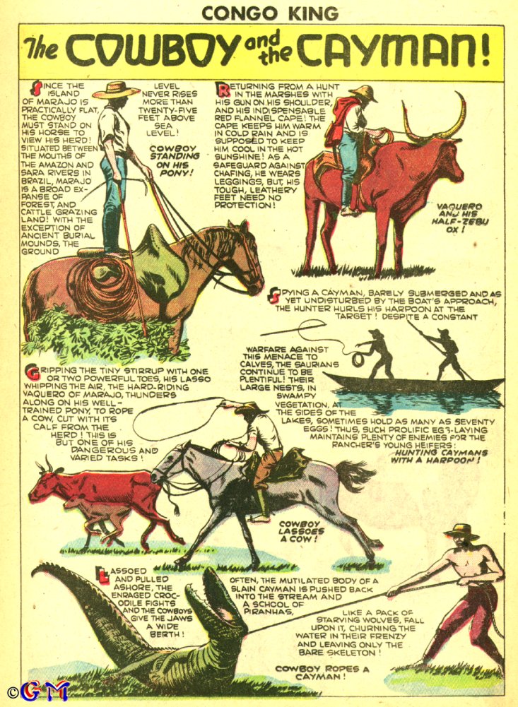 Read online Jo-Jo Congo King comic -  Issue #21 - 13