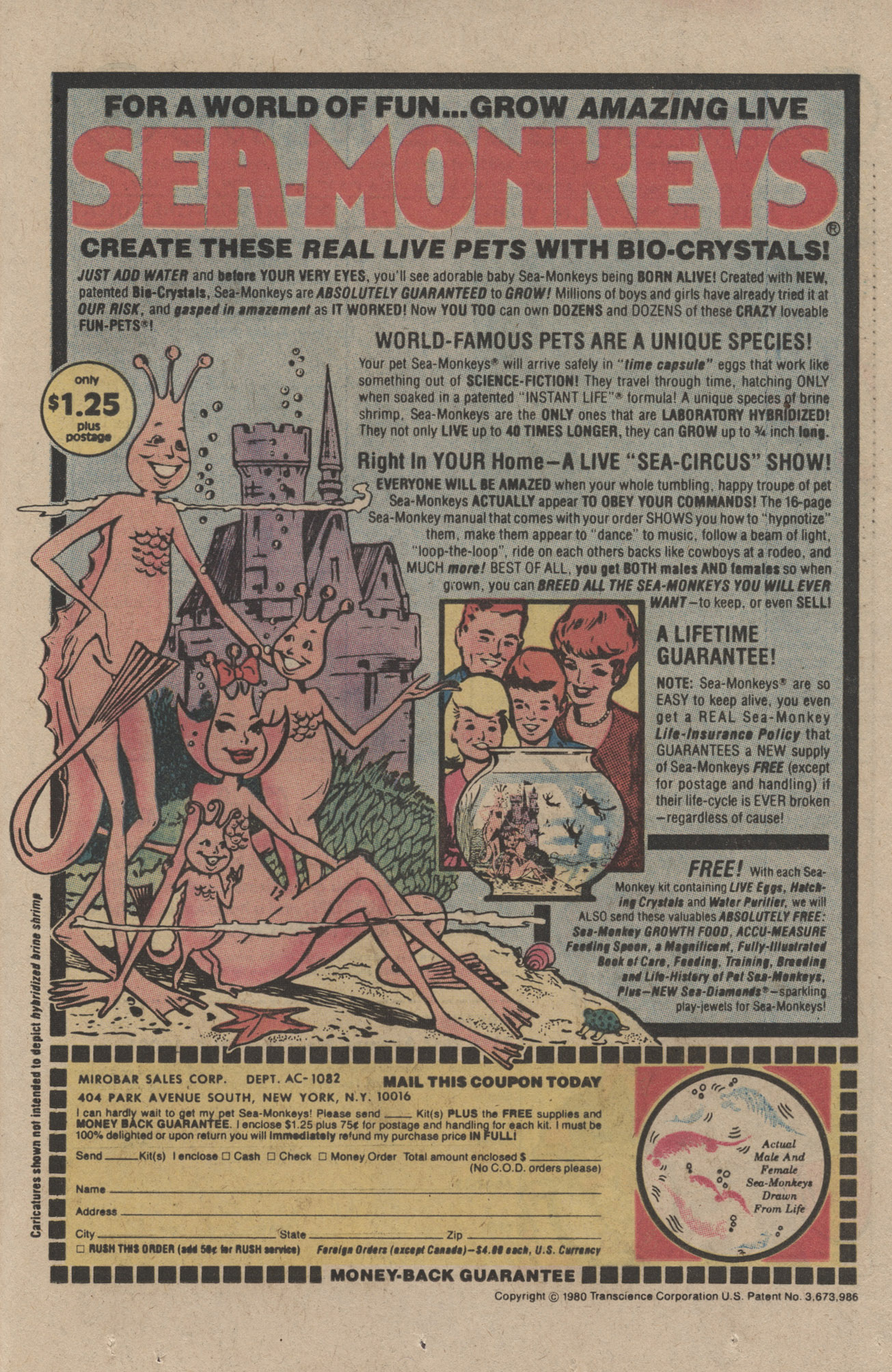 Read online Archie's Joke Book Magazine comic -  Issue #288 - 25