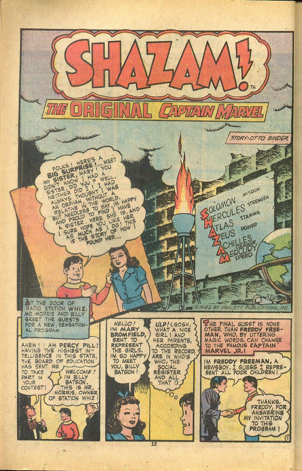 Read online Shazam! (1973) comic -  Issue #8 - 12