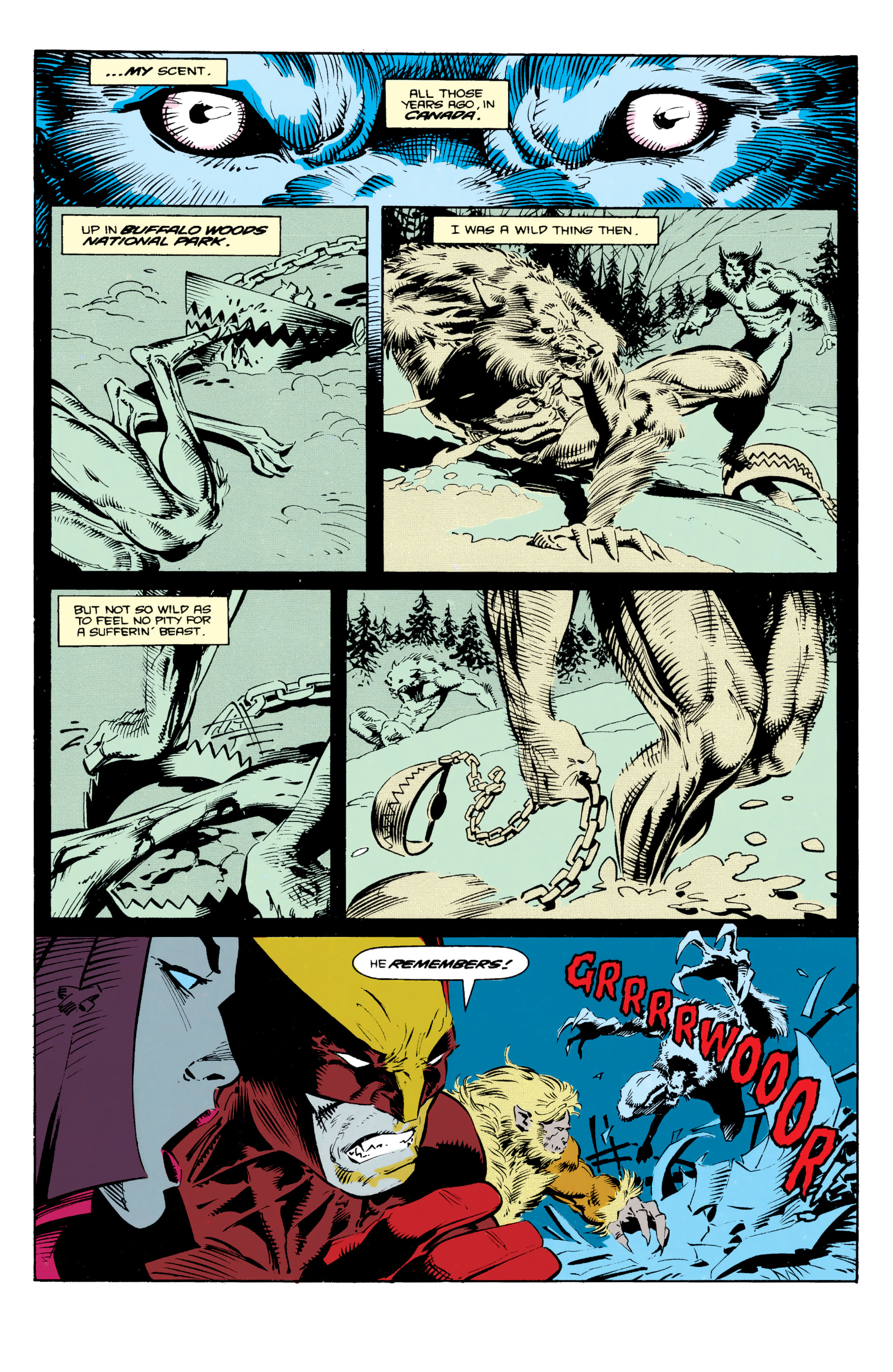 Read online Wolverine Omnibus comic -  Issue # TPB 3 (Part 5) - 96