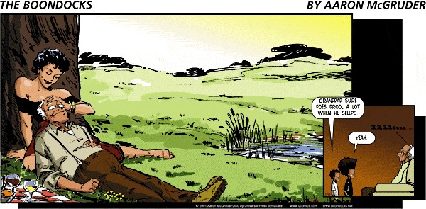 Read online The Boondocks Collection comic -  Issue # Year 2001 - 196