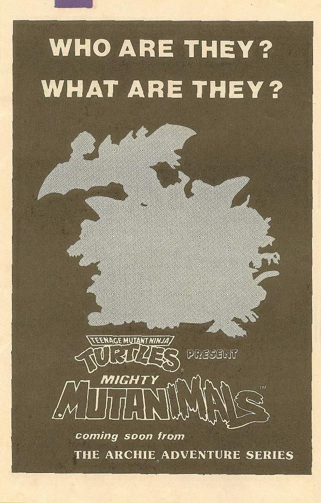 Teenage Mutant Ninja Turtles Adventures (1989) issue 17 - Page 31