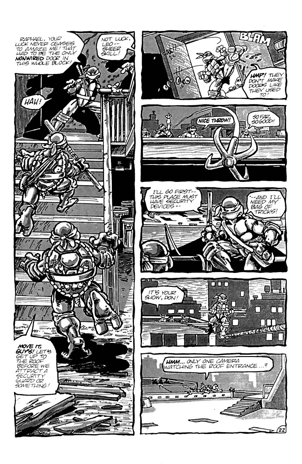 Teenage Mutant Ninja Turtles (1984) Issue #4 #4 - English 22