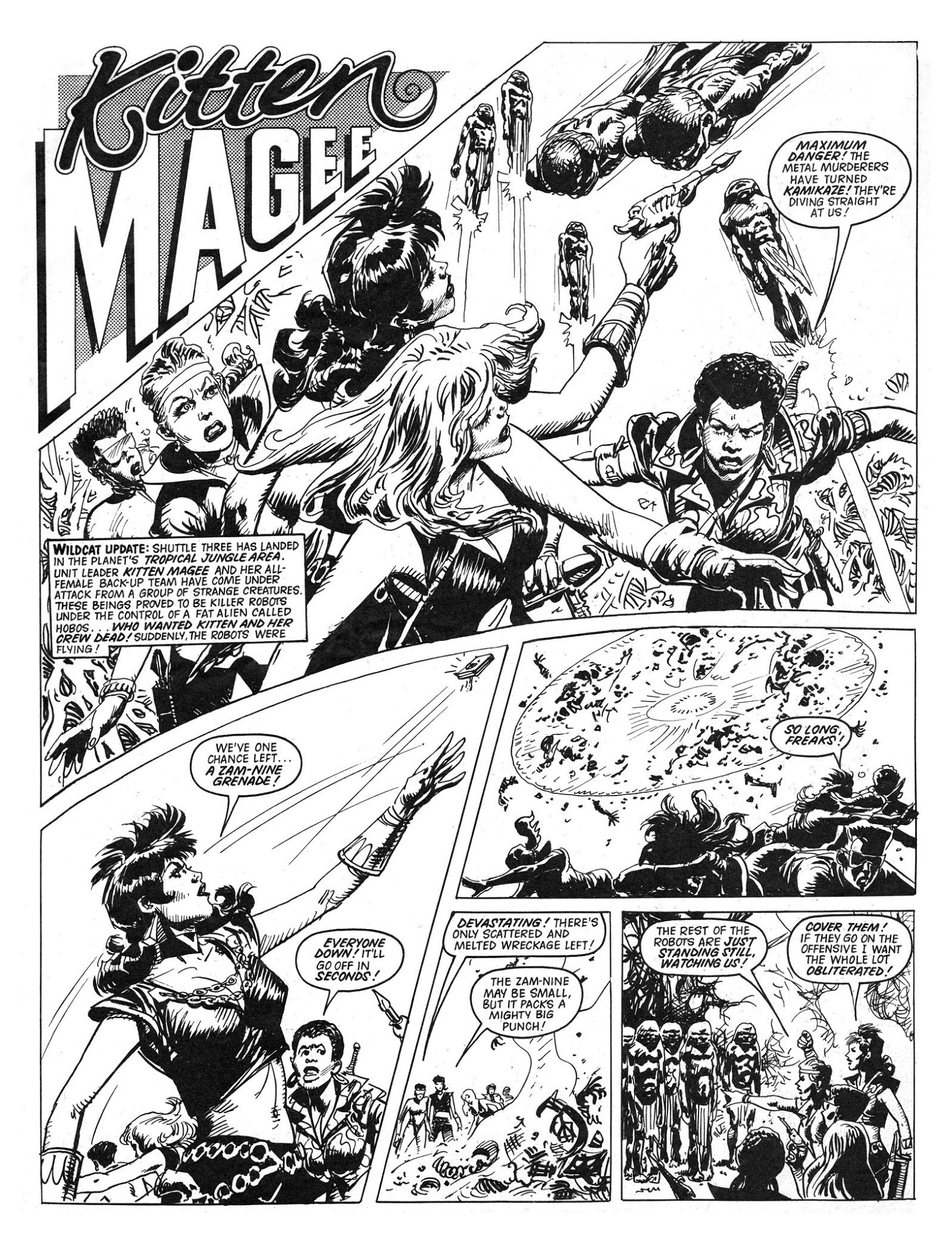 Read online Wildcat comic -  Issue #5 - 11
