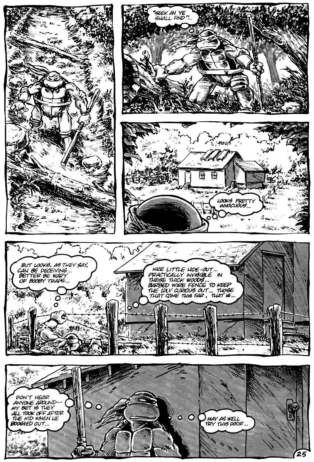Teenage Mutant Ninja Turtles (1984) Issue #12 #12 - English 25