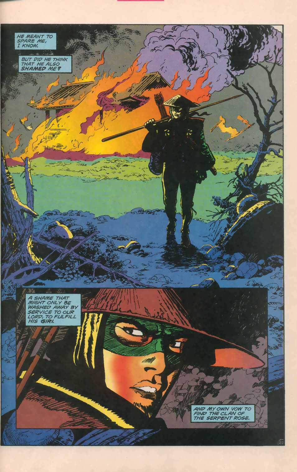 Read online Robin (1993) comic -  Issue # _Annual 3 - 20