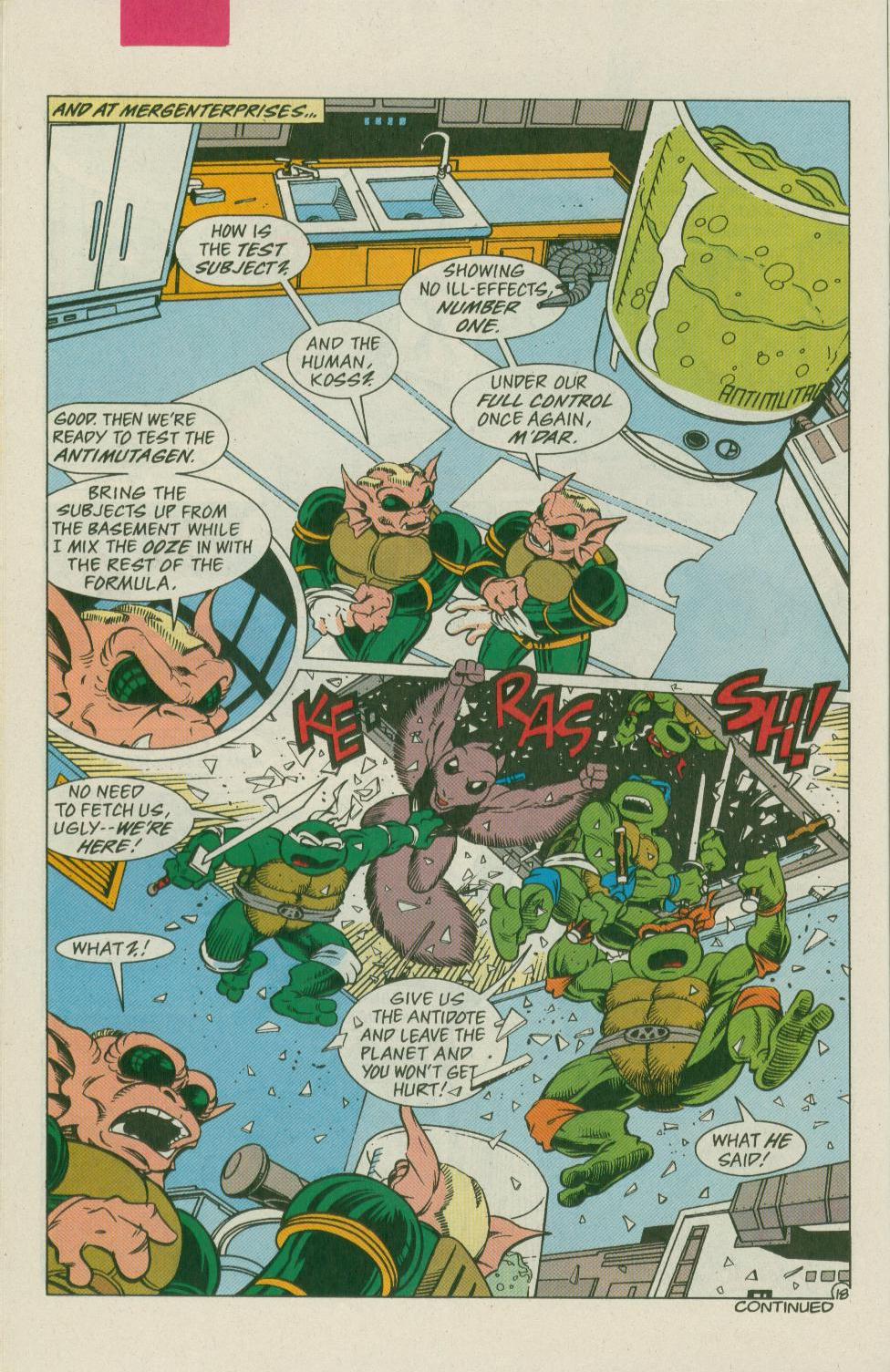Read online Teenage Mutant Ninja Turtles Adventures (1989) comic -  Issue # _Special 11 - 19