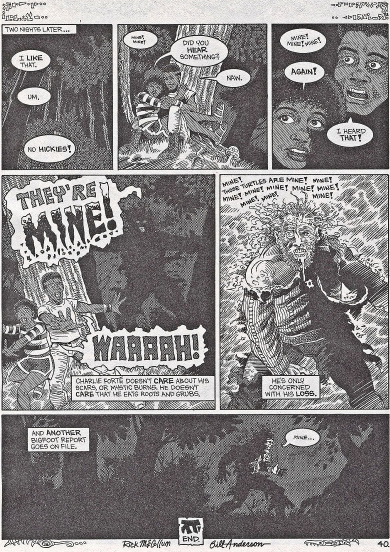 Teenage Mutant Ninja Turtles (1984) Issue #42 #42 - English 41