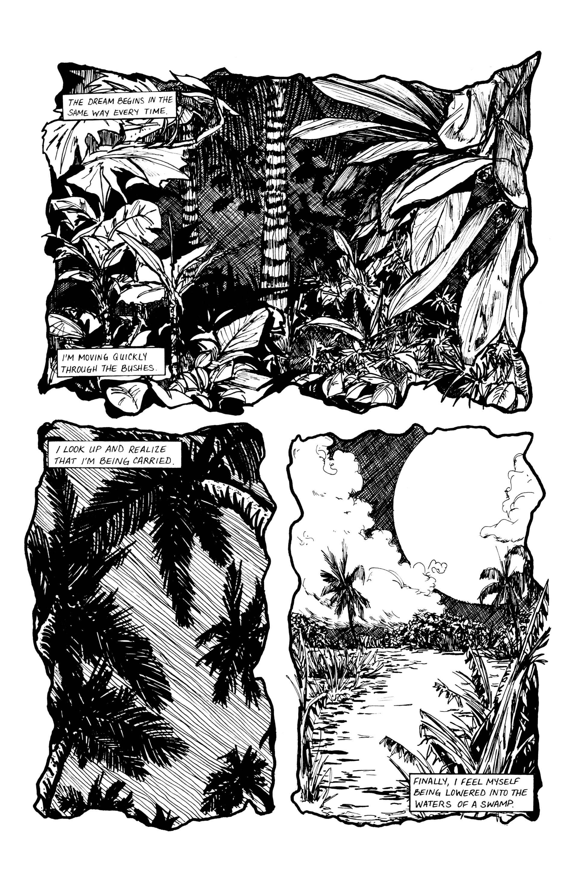 Read online Pineapple Man comic -  Issue #1 - 3