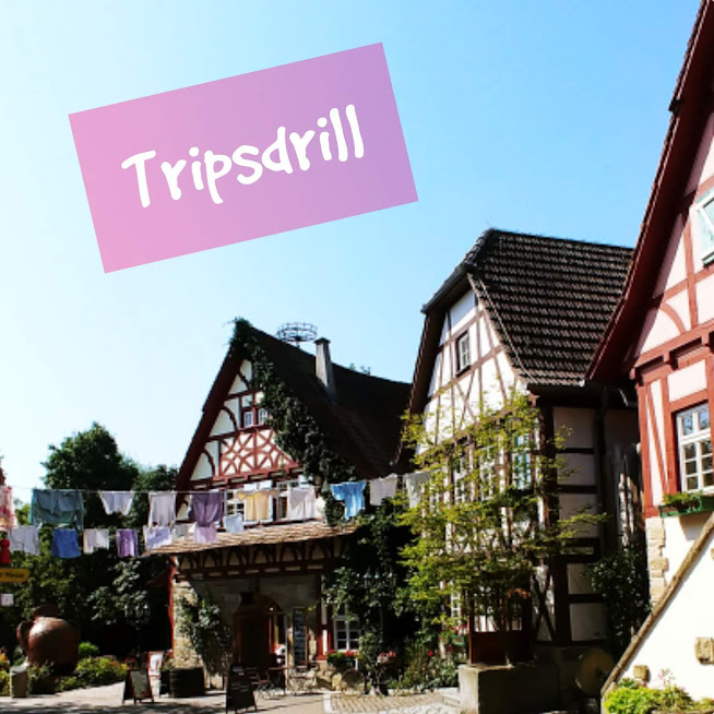 Wild Freizeitpark Ostrittrum Bidilis Welt