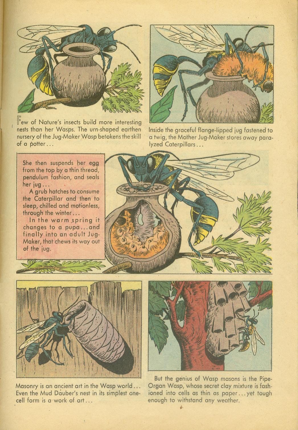 Read online Four Color Comics comic -  Issue #749 - 33