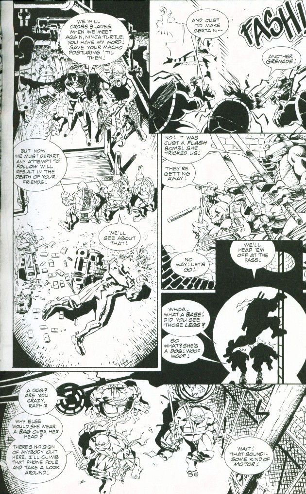 Teenage Mutant Ninja Turtles (1996) Issue #1 #1 - English 10
