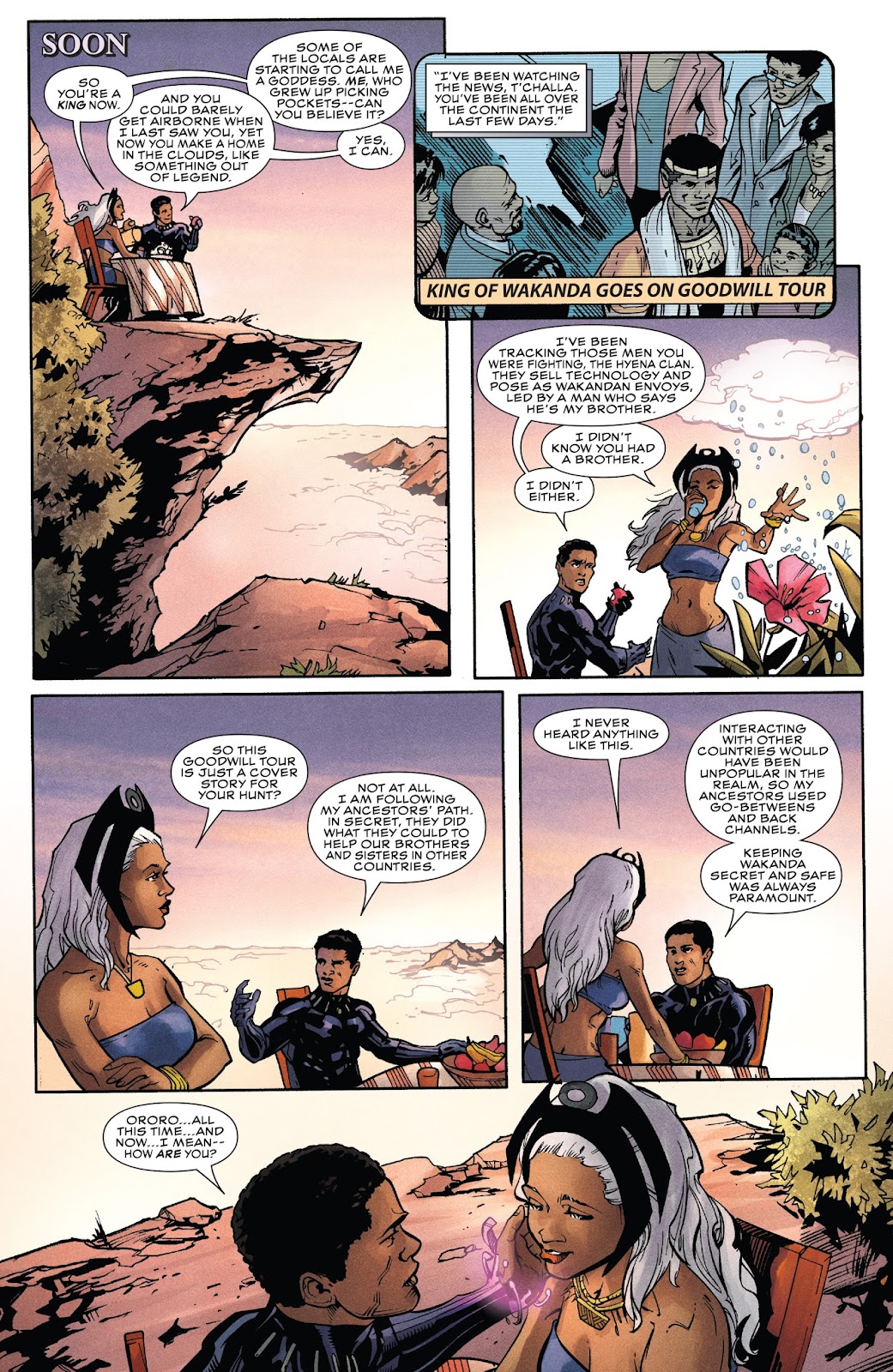 Rise of the Black Panther issue 5 - Page 17