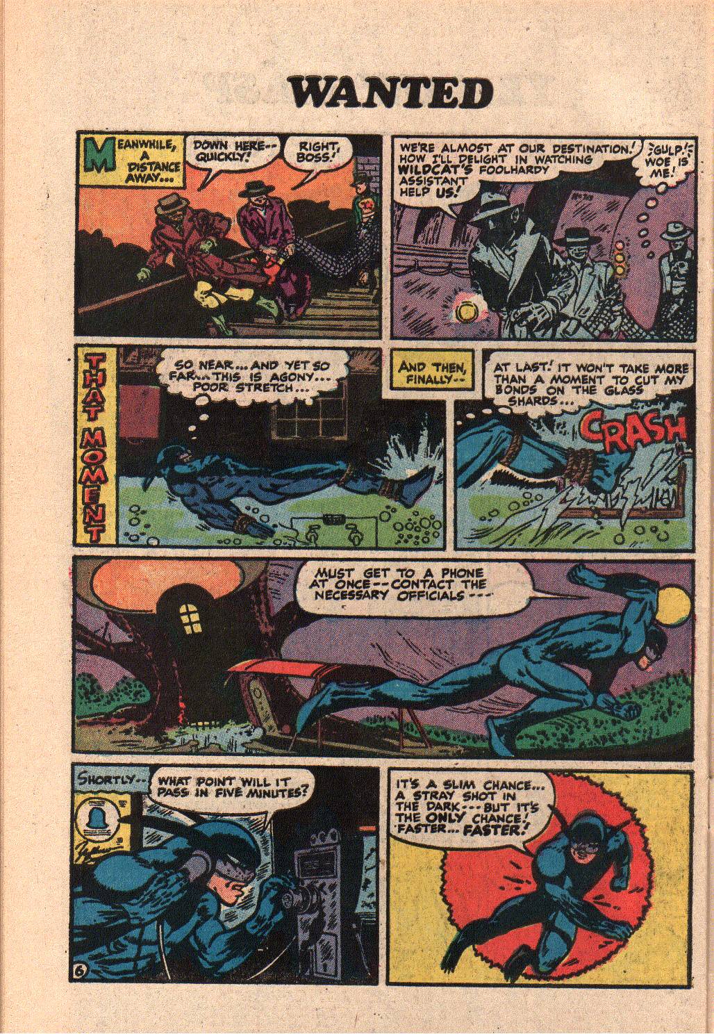 Read online Wanted, the World's Most Dangerous Villains comic -  Issue #6 - 30