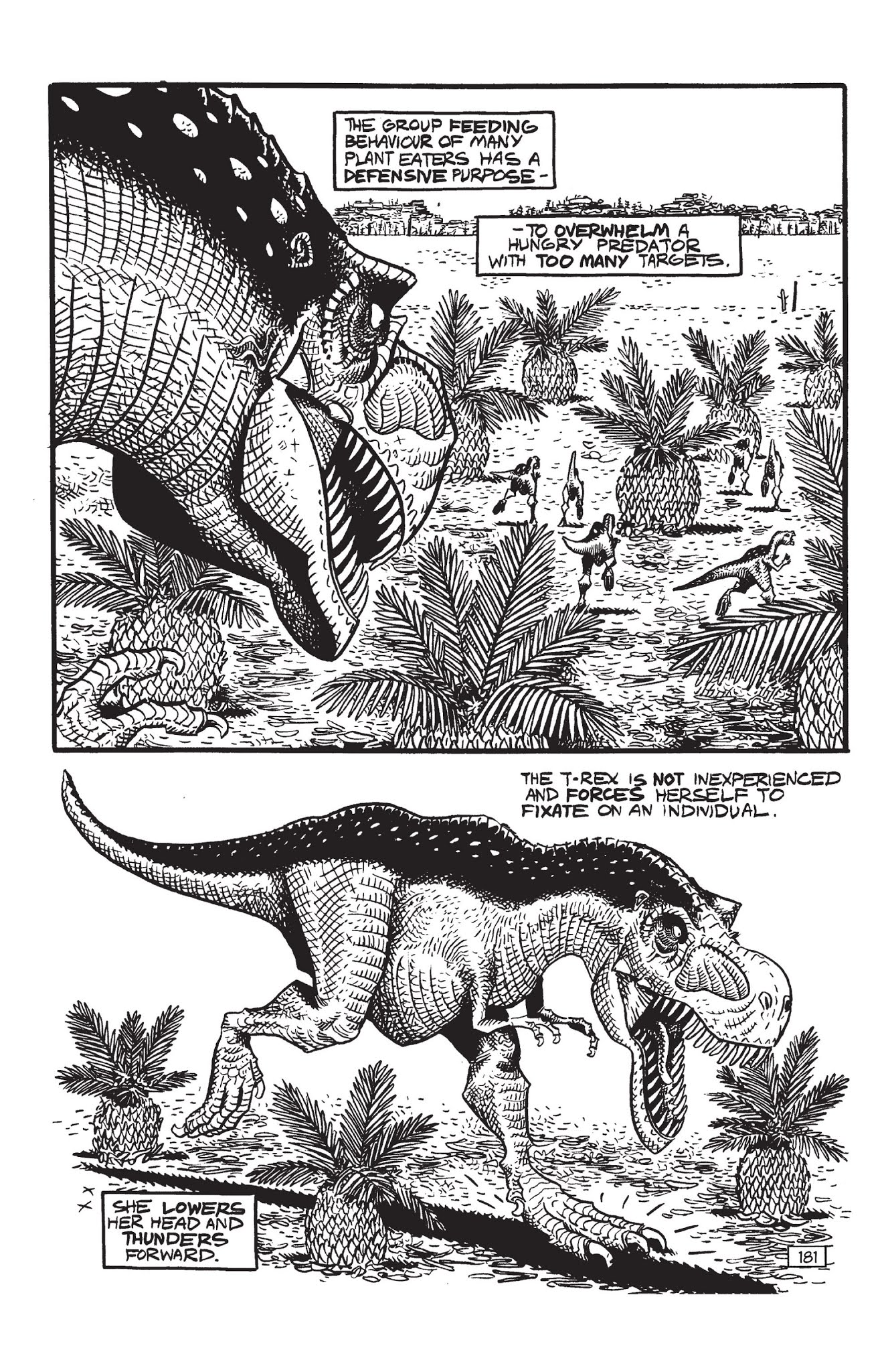 Read online Paleo: Tales of the late Cretaceous comic -  Issue # TPB (Part 2) - 96