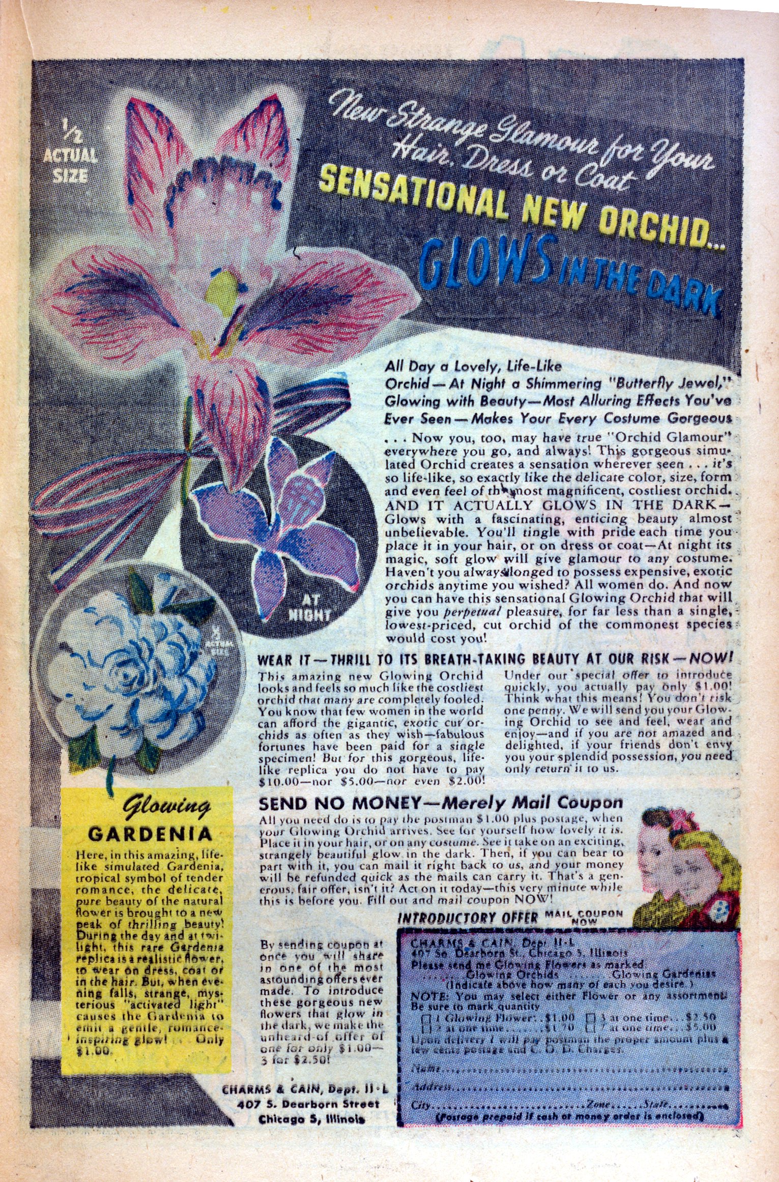 Read online Rangers Comics comic -  Issue #19 - 35