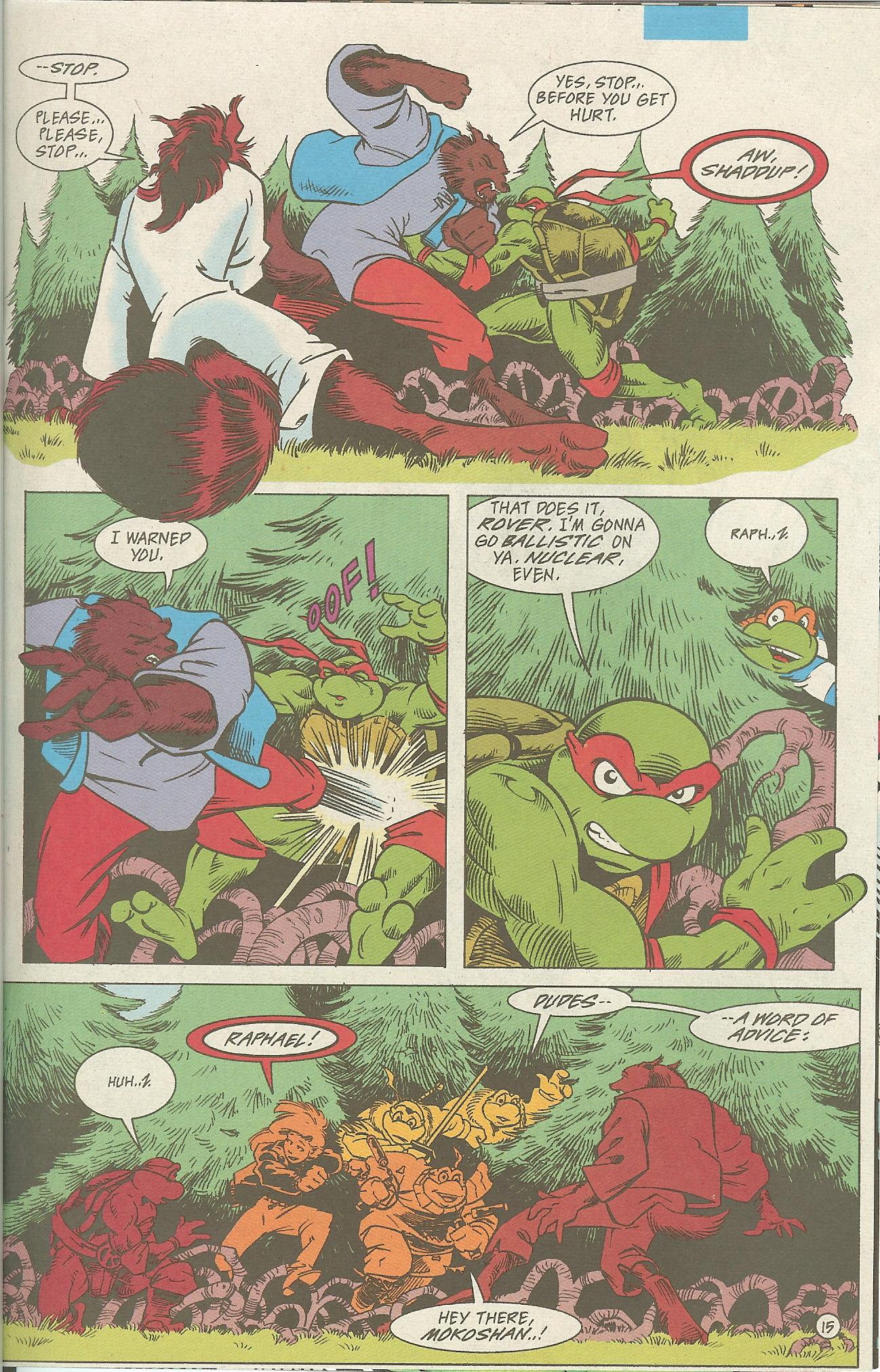 Read online Teenage Mutant Ninja Turtles Adventures (1989) comic -  Issue #70 - 16
