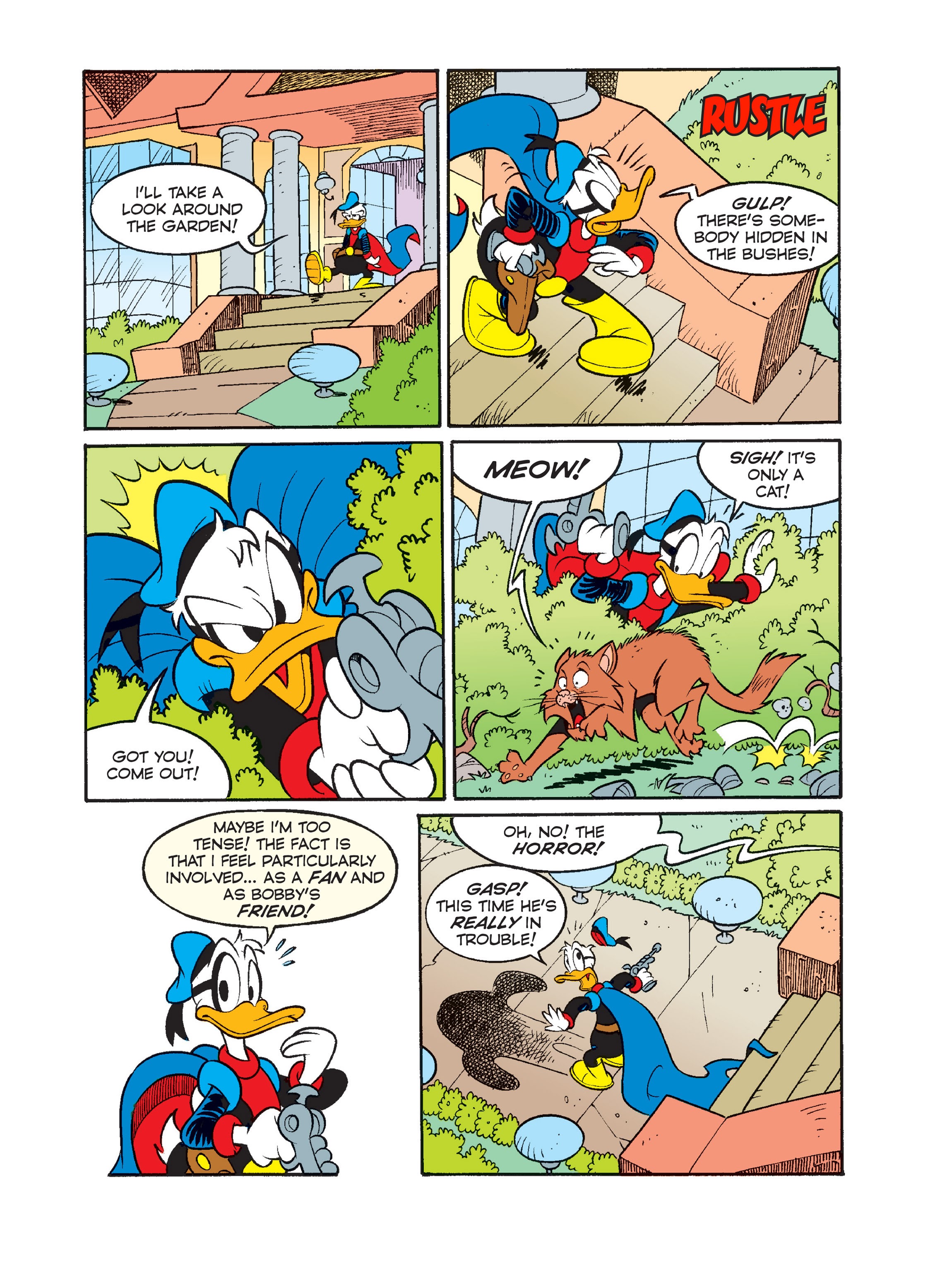 Read online Superduck and the World Champion of Soccer comic -  Issue # Full - 17