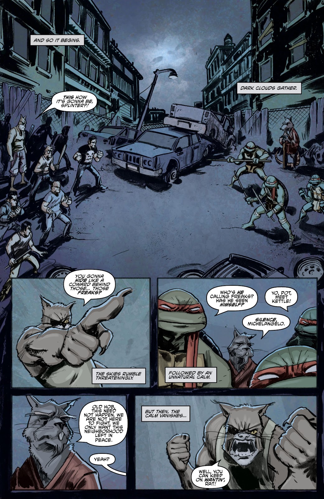 Teenage Mutant Ninja Turtles (2011) issue 1 - Page 6