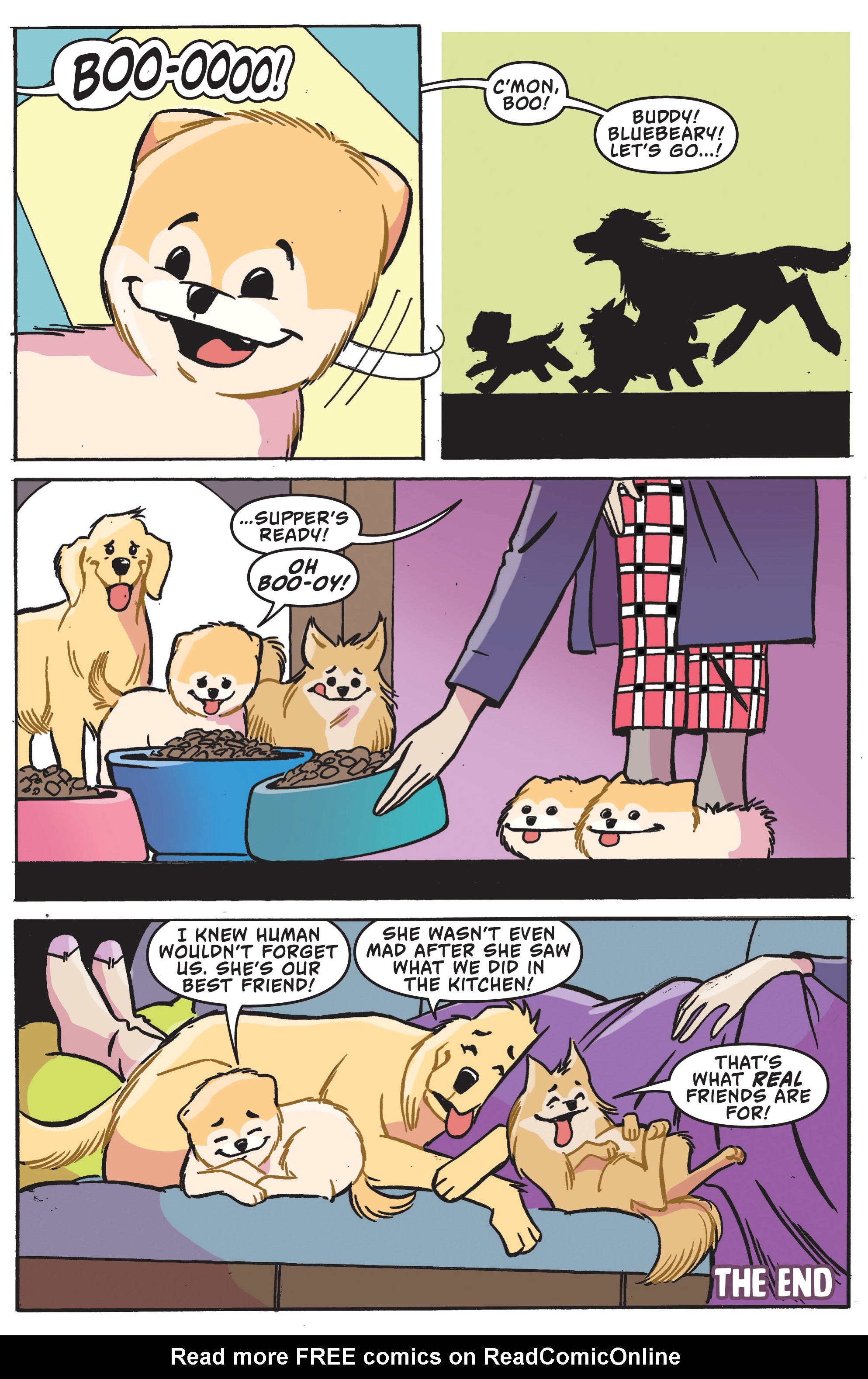 Read online Boo, The World's Cutest Dog comic -  Issue #1 - 22