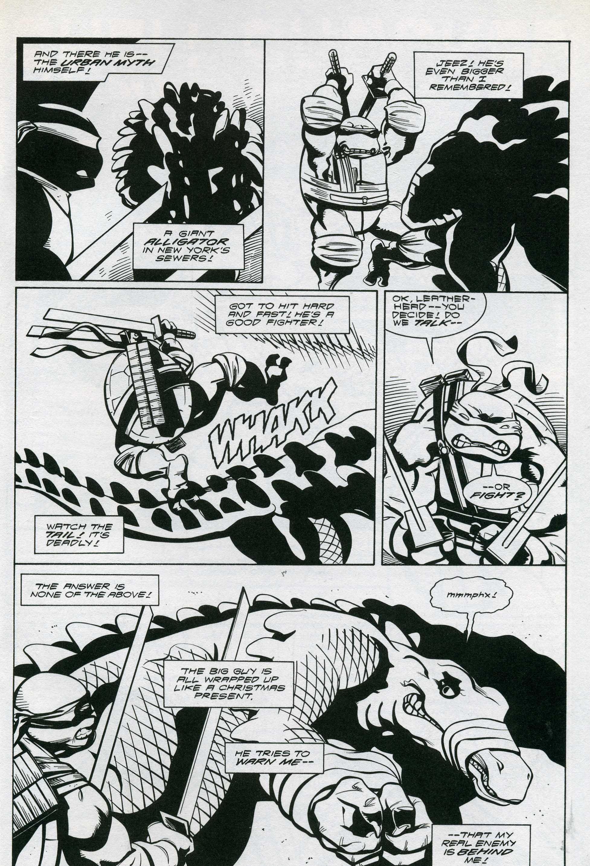 Teenage Mutant Ninja Turtles (1996) Issue #17 #17 - English 20