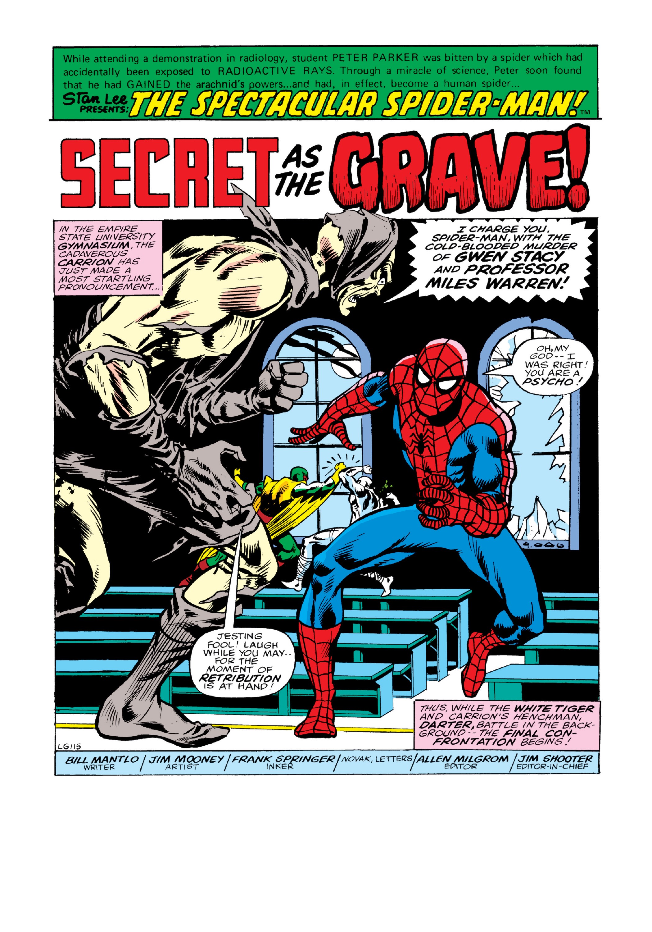 Read online Marvel Masterworks: The Spectacular Spider-Man comic -  Issue # TPB 2 (Part 3) - 63