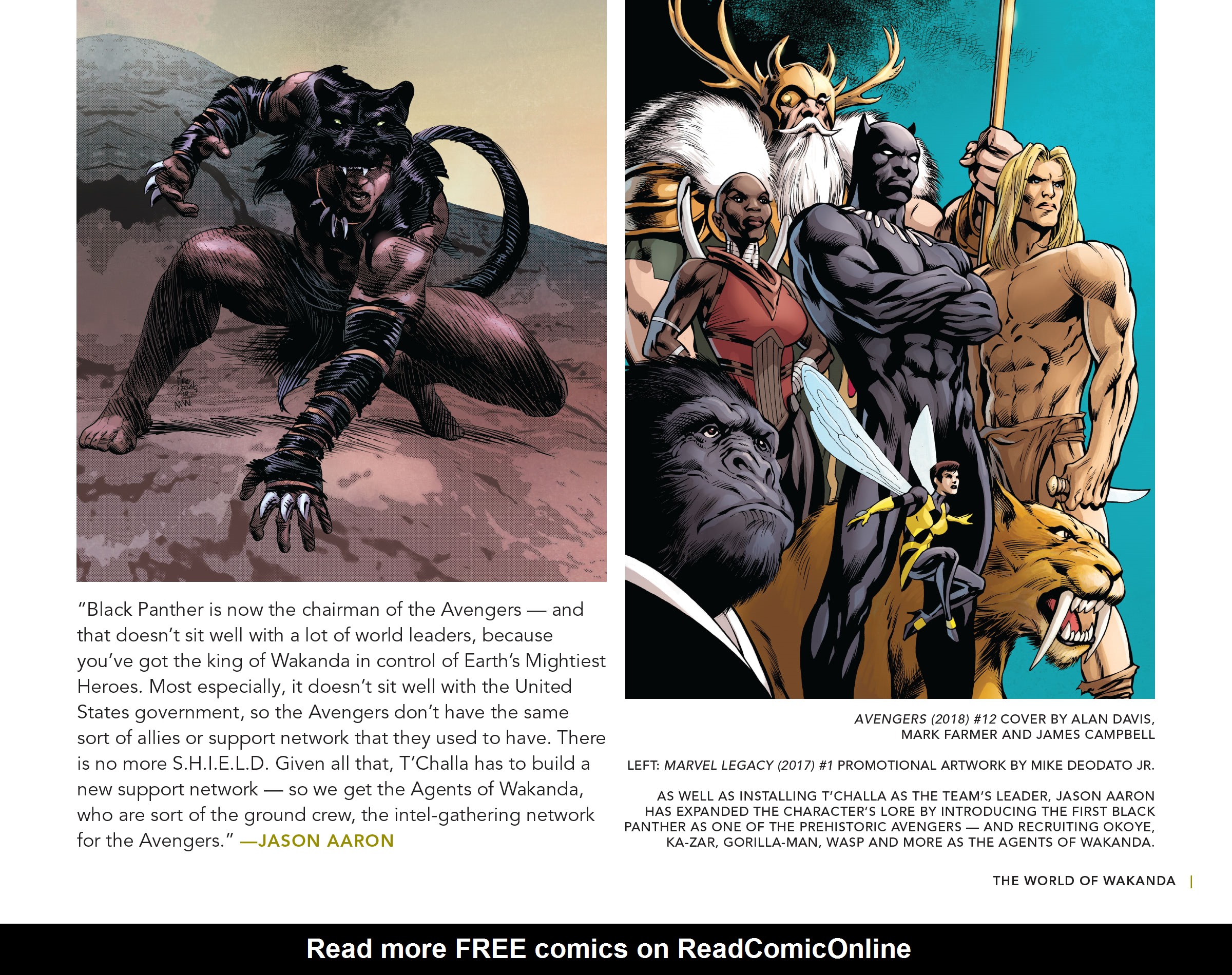 Read online Black Panther: Visions of Wakanda comic -  Issue # TPB (Part 4) - 25