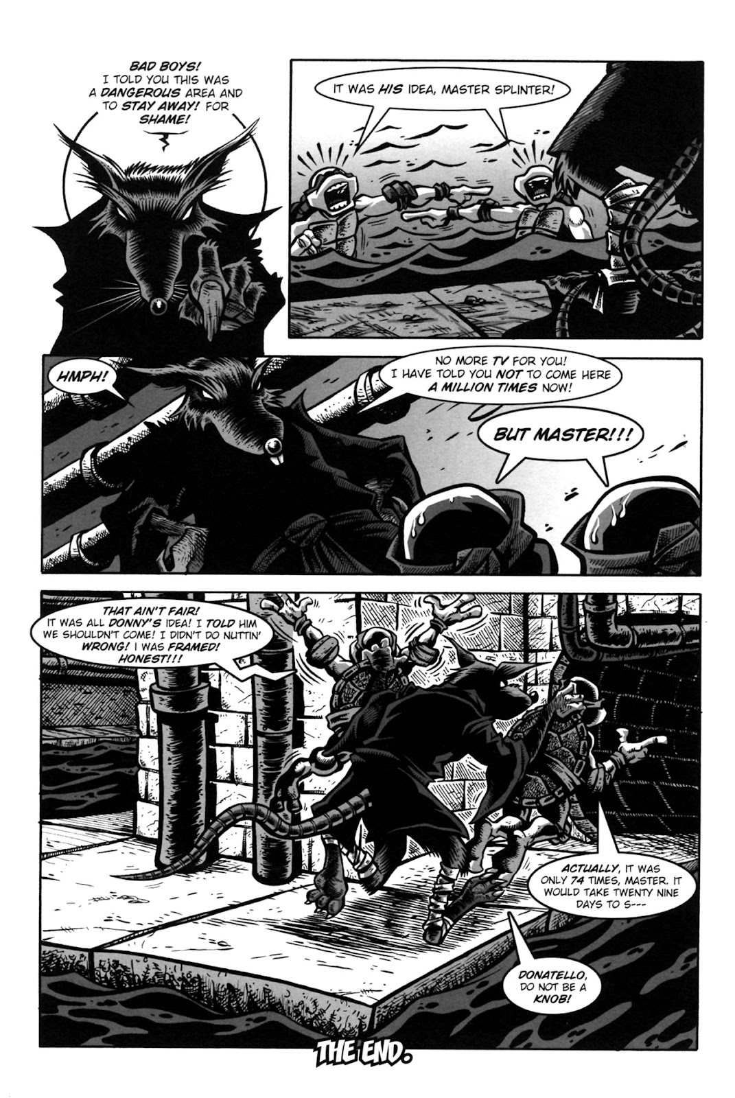 Tales of the TMNT issue 38 - Page 33