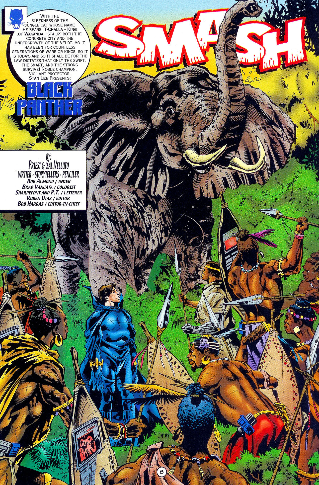 Read online Black Panther (1998) comic -  Issue #15 - 9