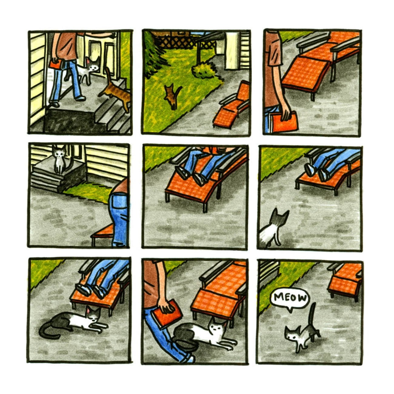 Read online Cats are Weird and More Observations comic -  Issue # TPB - 11