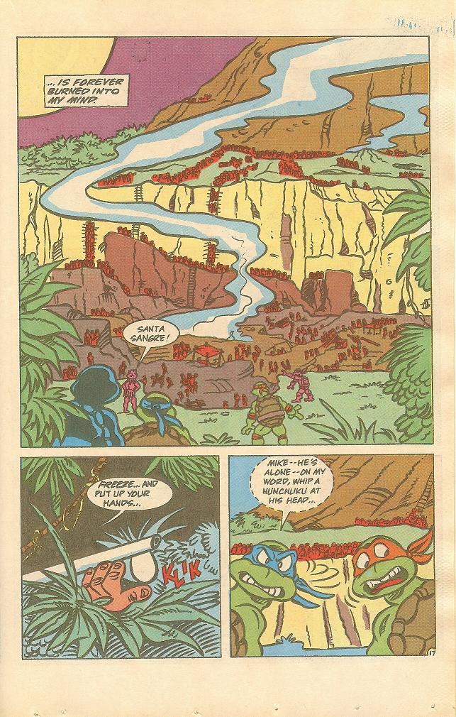 Read online Teenage Mutant Ninja Turtles Adventures (1989) comic -  Issue #15 - 18