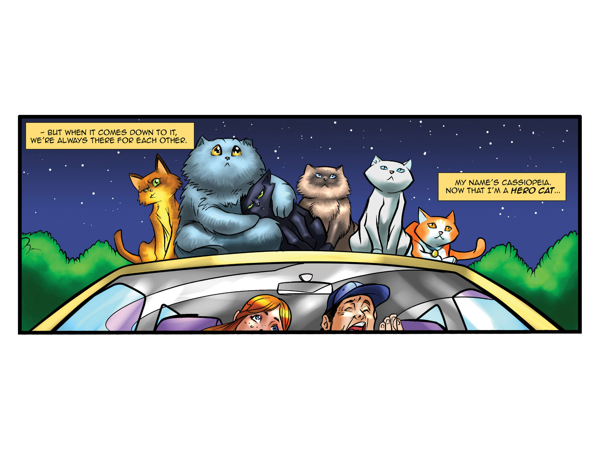 Read online Hero Cats comic -  Issue #1 - 46