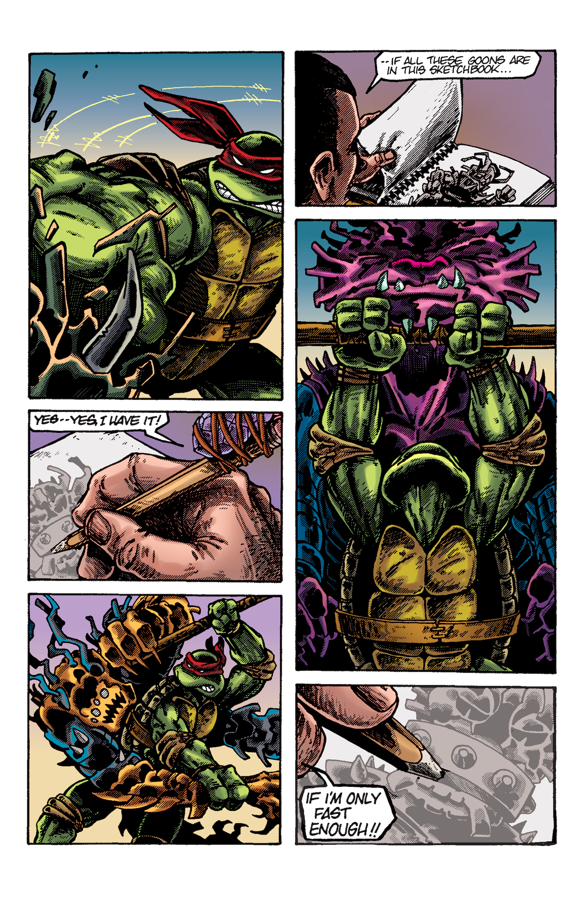 Read online TMNT: Best of Raphael comic -  Issue # TPB - 27