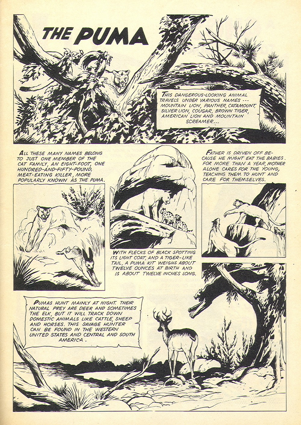 Read online Four Color Comics comic -  Issue #1031 - 35