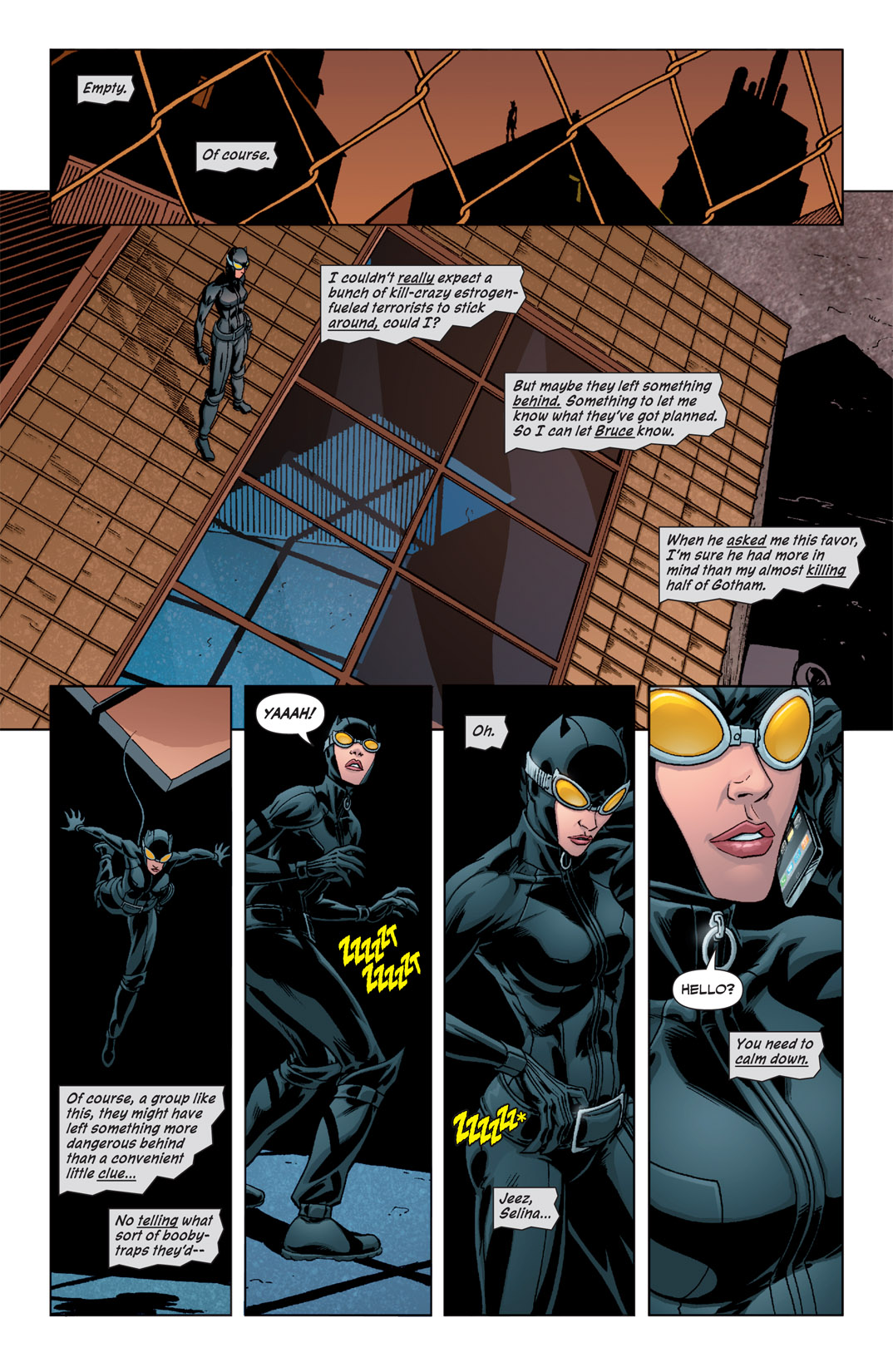 Read online Catwoman (2002) comic -  Issue #70 - 11