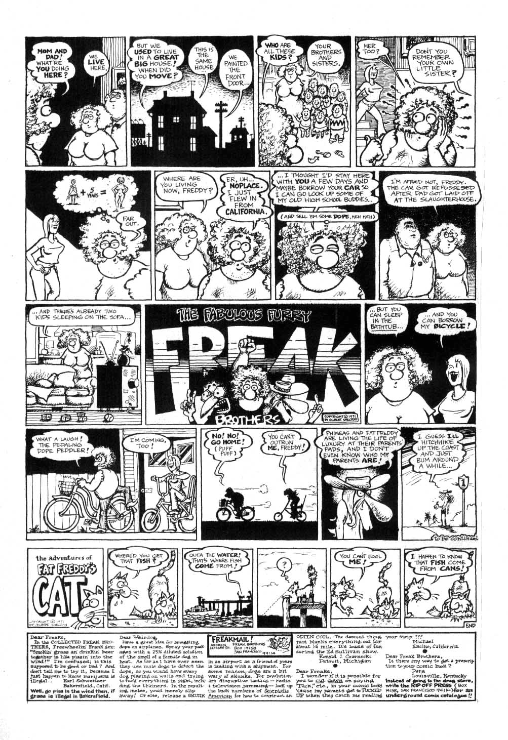 Read online The Fabulous Furry Freak Brothers comic -  Issue #2 - 42