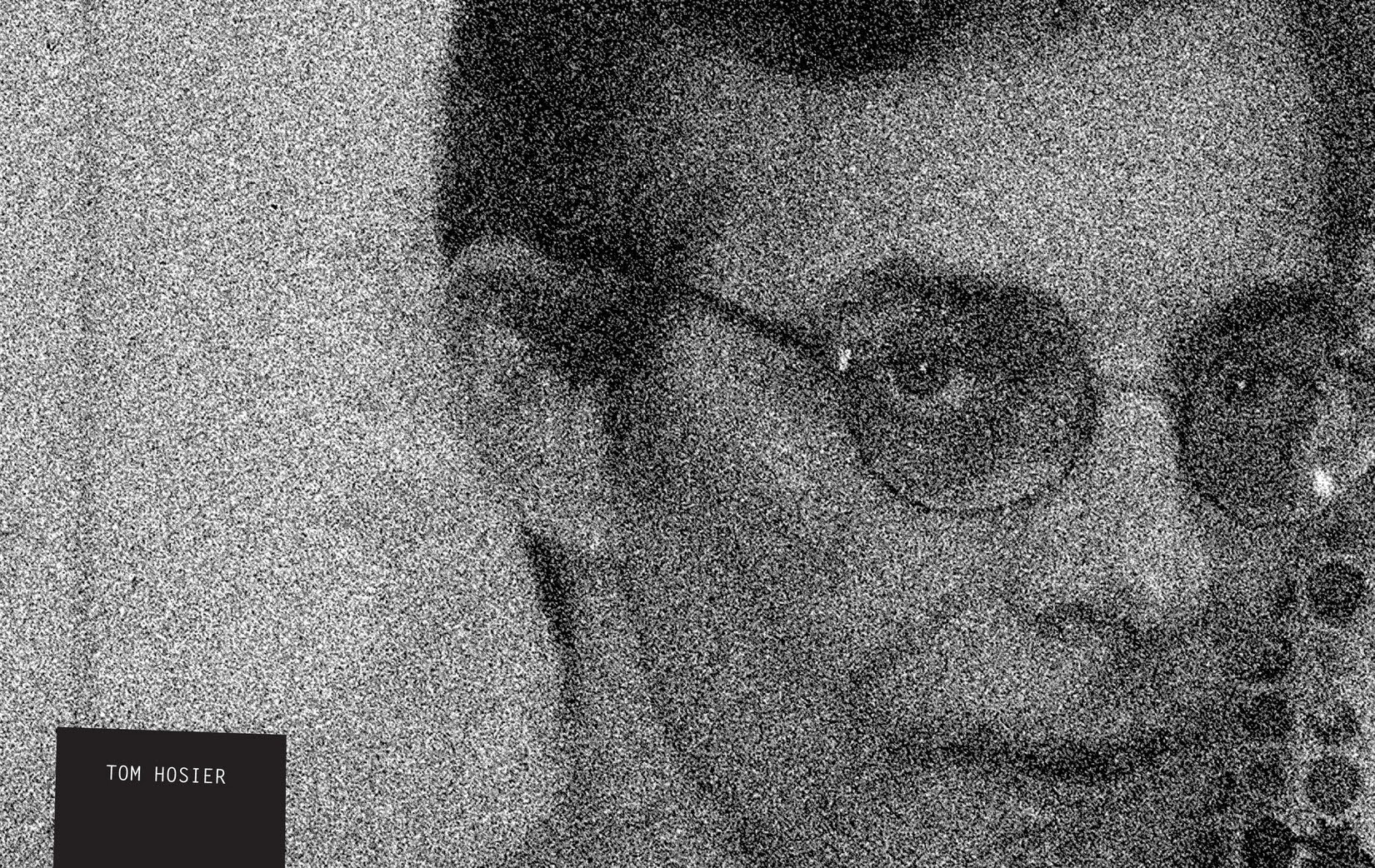 Read online NEWAVE! The Underground Mini Comix of the 1980's comic -  Issue # TPB (Part 1) - 13