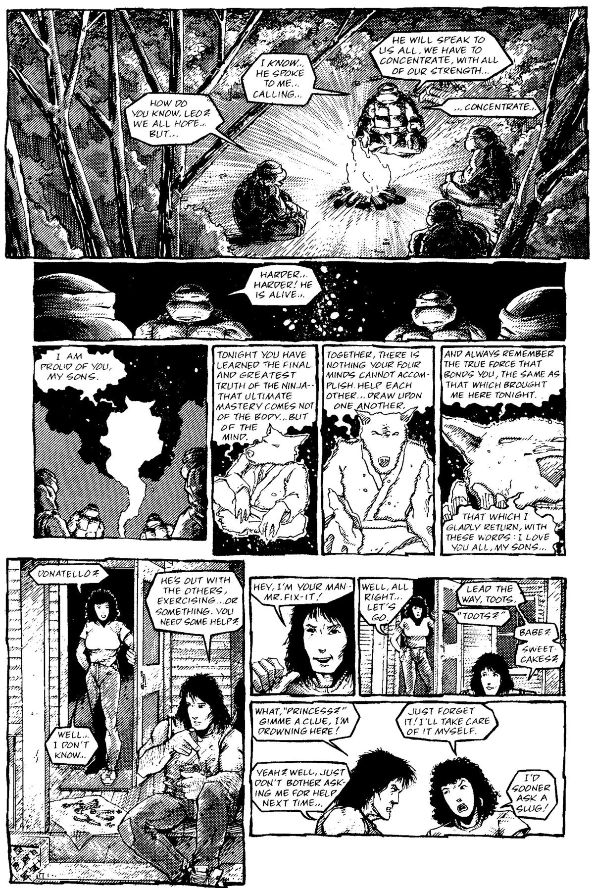 Read online Teenage Mutant Ninja Turtles: The Movie comic -  Issue # Full - 47