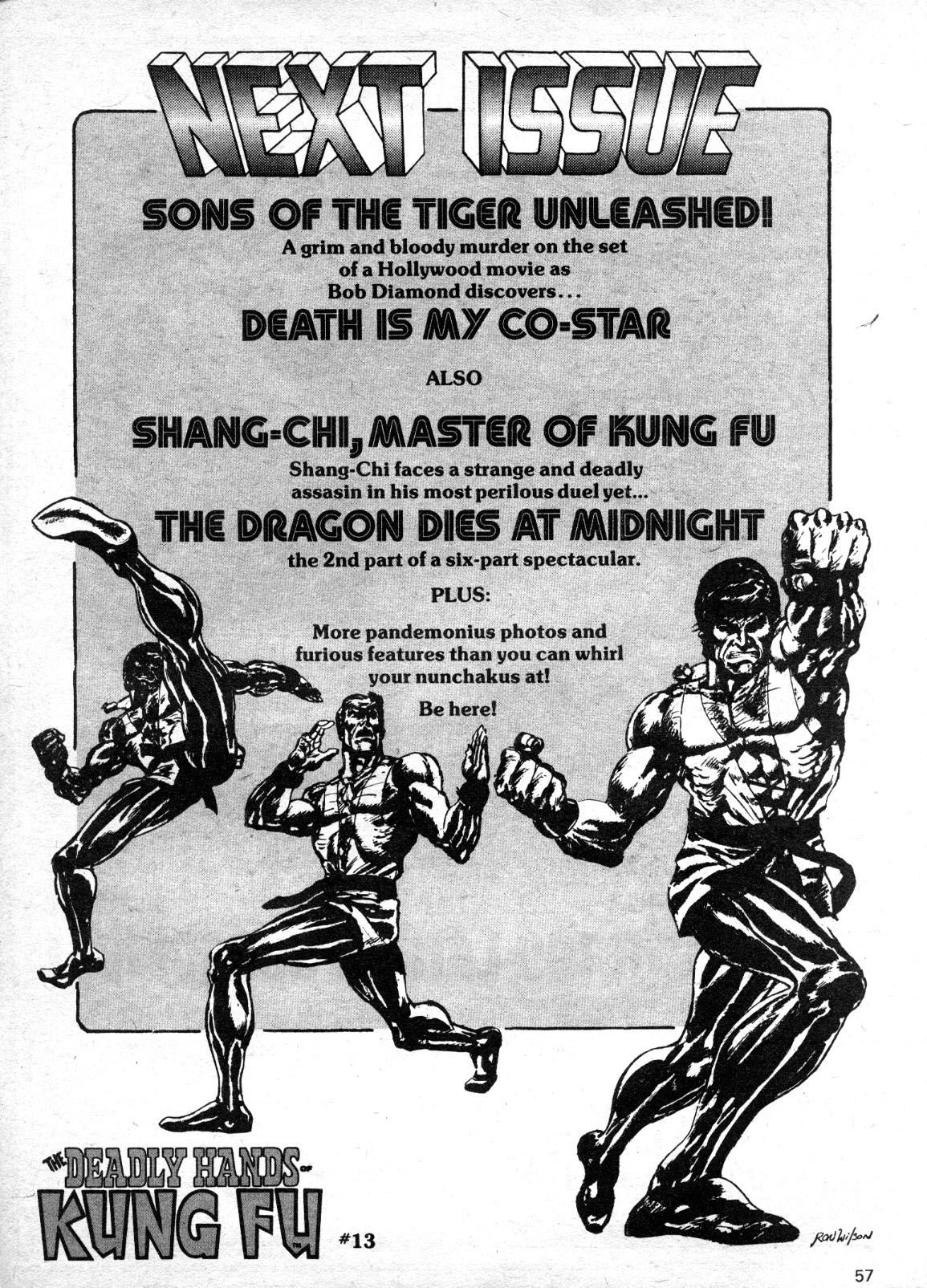 Read online The Deadly Hands of Kung Fu comic -  Issue #12 - 55